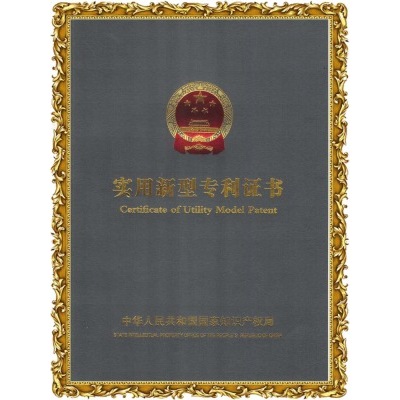 振(zhen)嘉吸塑(su)包裝機-實用新型專利