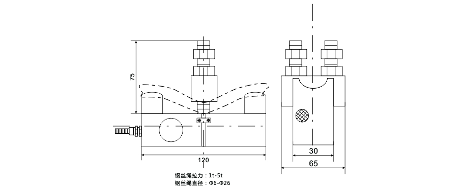 BCQ黑色旁壓式傳(chuan)感器尺寸圖